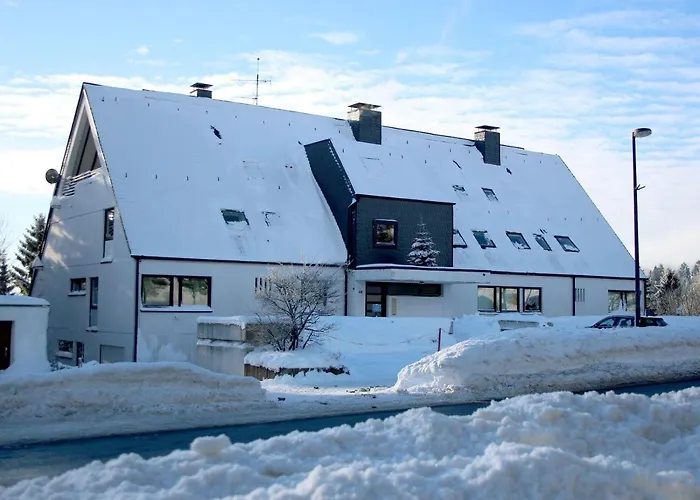 Winterberg Appartement 21090